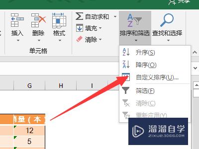 Excel表格如何进行排序(excel表格如何进行排序和筛选)