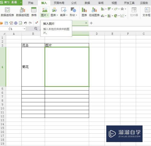 怎么在Excel表格中插入图片