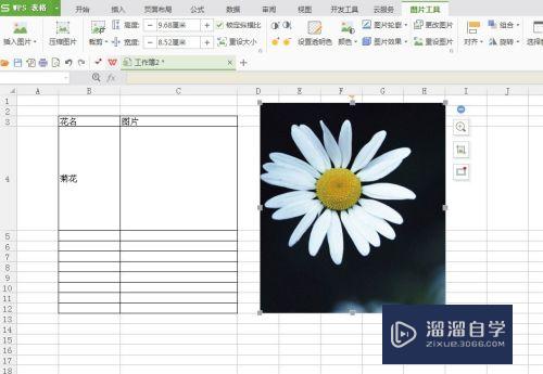 怎么在Excel表格中插入图片