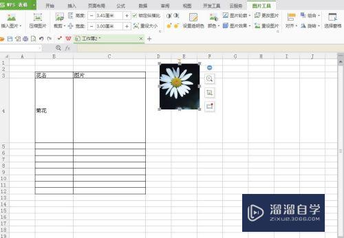 怎么在Excel表格中插入图片