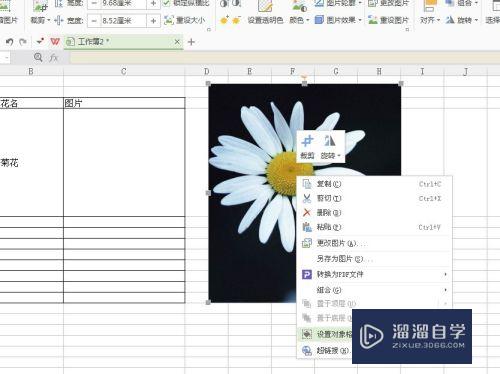 怎么在Excel表格中插入图片