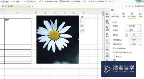 怎么在Excel表格中插入图片