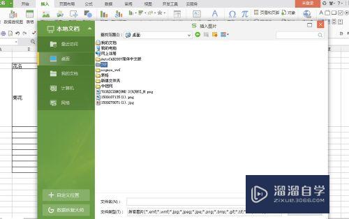 怎么在Excel表格中插入图片