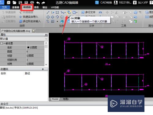 CAD编辑器中怎么插入ole对象(cad编辑ole内容)