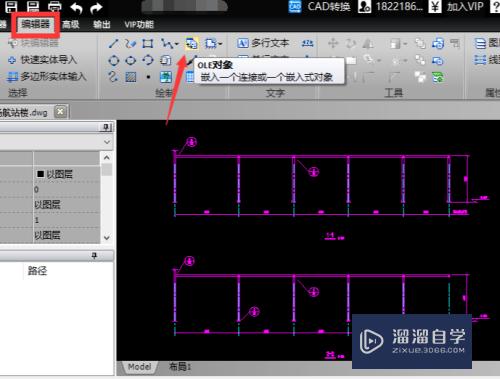 在CAD中怎么插入ole对象(cad中ole对象)