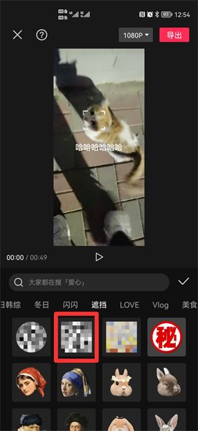 怎么在视频上打马赛克？