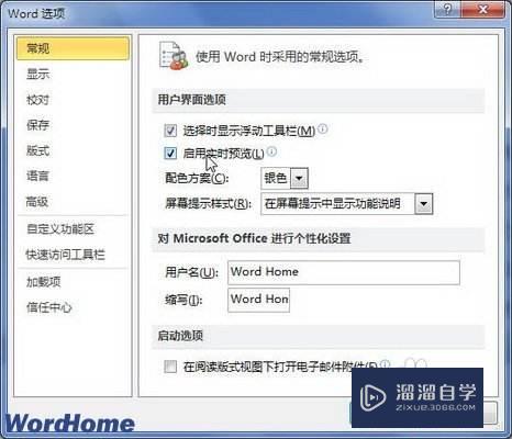 在Word2010中打开和关闭实时预览功能