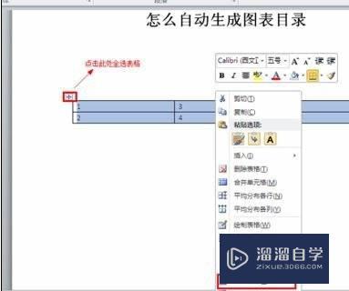 Word2010自动生成图表目录的操作方法(word自动生成图表目录怎么设置)