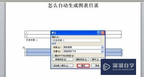 Word2010自动生成图表目录的操作方法(word自动生成图表目录怎么设置)