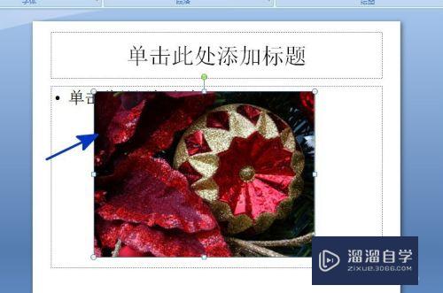 如何对PPT中插入的图片进行裁剪(ppt里面图片怎么裁剪)