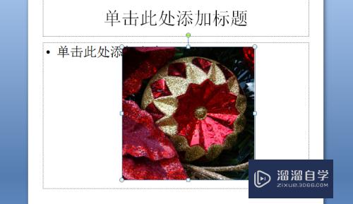 如何对PPT中插入的图片进行裁剪(ppt里面图片怎么裁剪)