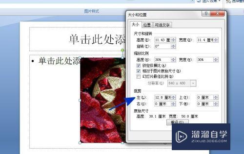 如何对PPT中插入的图片进行裁剪(ppt里面图片怎么裁剪)