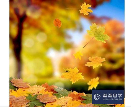 PPT如何添加路径动画树叶飘落效果(ppt怎么做树叶飘落)