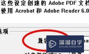 PPT2020如何设置PDF的兼容性(pdf兼容性怎么设置)