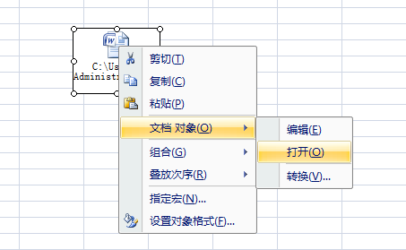 怎么将Excel中的插入对象另存为独立的文件？