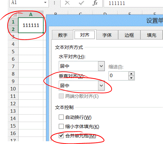 在Excel表格中，怎么使一个数字占用两个格子？