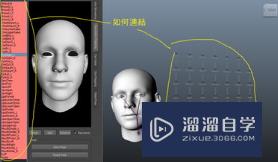 Maya怎么连接faceshift(maya怎么连接顶点)