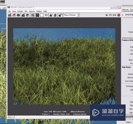 Maya怎么制作草地(maya如何做草地)