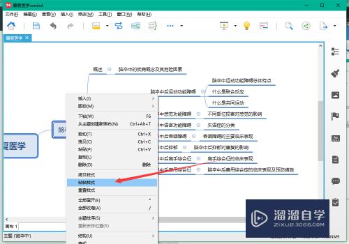 XMind8有没有格式刷能不能复制样式(xmind8格式刷在哪里)