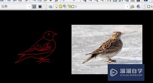 用CAD画鸟实例操作