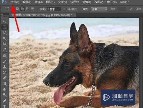 如何使用Photoshop将彩色照片转换为黑白照片(ps图片彩色怎么转成黑白图片)