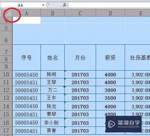 Excel怎么复制整页内容(excel怎么复制整页内容快捷键)