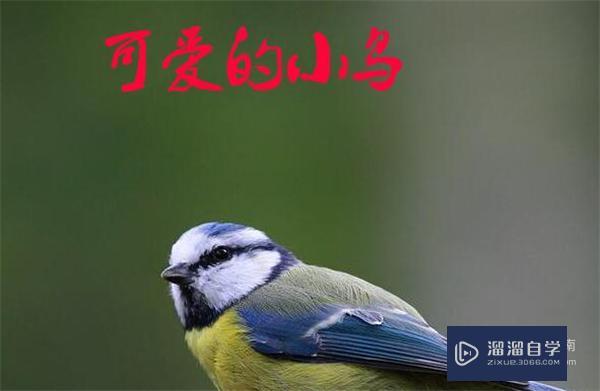 怎么在PS中写字(怎么在ps中写字)