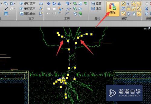 CAD实体对象怎么复制