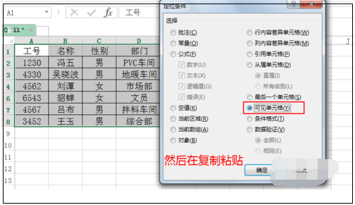 如何在复制粘贴时不会粘贴Excel中隐藏的数据？