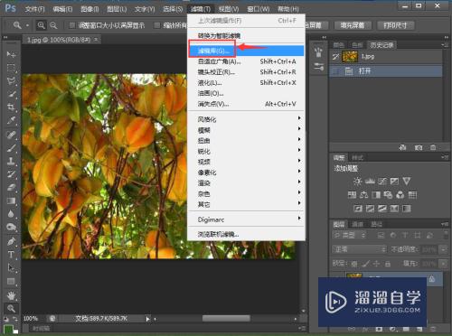 在PS中给图片设置画布纹理化滤镜的方法(在ps中给图片设置画布纹理化滤镜的方法是)