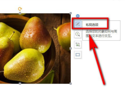 如何在Word中插入的图片居中？