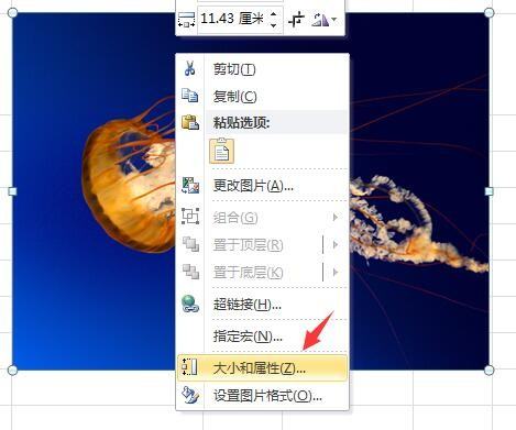 表格里插图片怎么自适应大小？