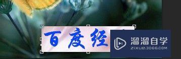 PS怎么用PS给图片添加文字(ps怎么用ps给图片添加文字内容)