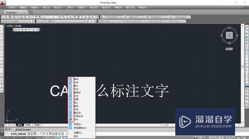 CAD怎么进行文字标注(cad怎么进行文字标注快捷键)