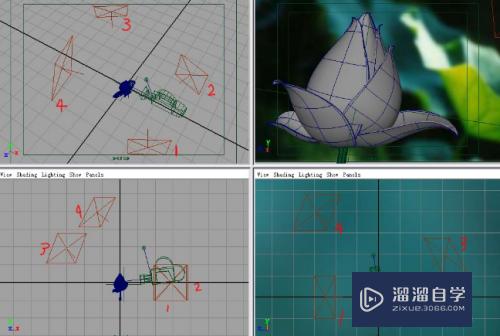 Maya荷花制作教程(maya做荷花)