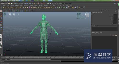 怎么使用Maya和houdini制作3D结构线条模型(maya 3d绘制)