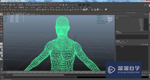 怎么使用Maya和houdini制作3D结构线条模型(maya 3d绘制)