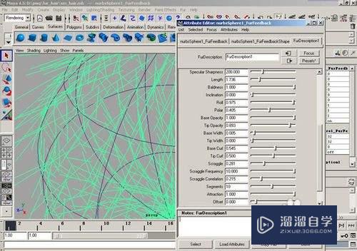 Maya的nurbs面片制作毛发模型教程(maya面片生成毛发)
