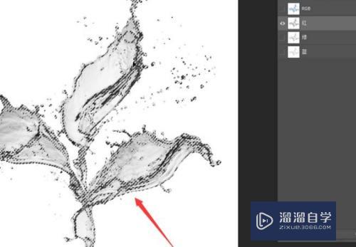 PS利用通道抠取水素材的方法