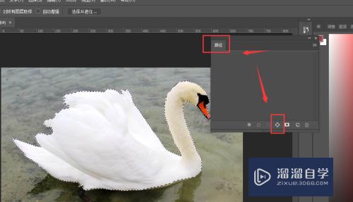 PS如何快速制作动物模型轮廓(ps如何快速制作动物模型轮廓图)
