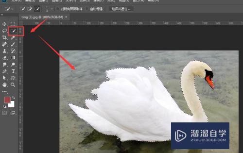 PS如何快速制作动物模型轮廓(ps如何快速制作动物模型轮廓图)