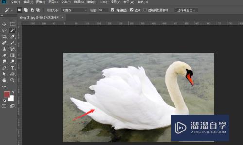 PS如何快速制作动物模型轮廓(ps如何快速制作动物模型轮廓图)