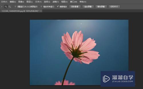 如何用PS去除照片的杂物污点