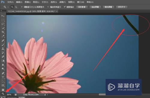 如何用PS去除照片的杂物污点
