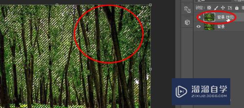 Photoshop如何制作<esred>森林</esred>中的光效？