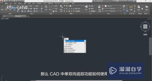 CAD单双向追踪怎么用(cad双向门)