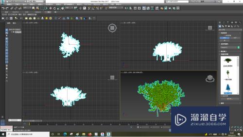 3DSMax怎么设置树的参数