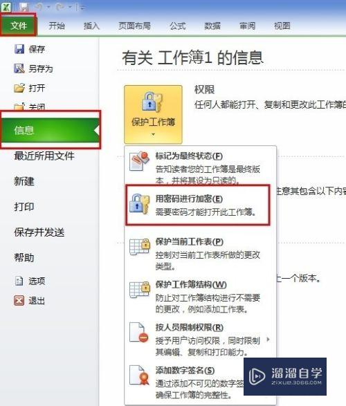 2010版Excel如何设置密码(2010版excel怎么设置密码)