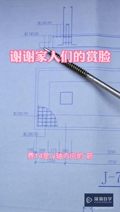 CAD基础布筋图怎么看(布筋图纸符号大全)