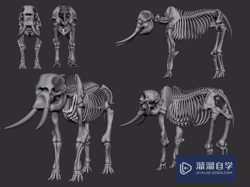 Maya雕刻大象想法和教程